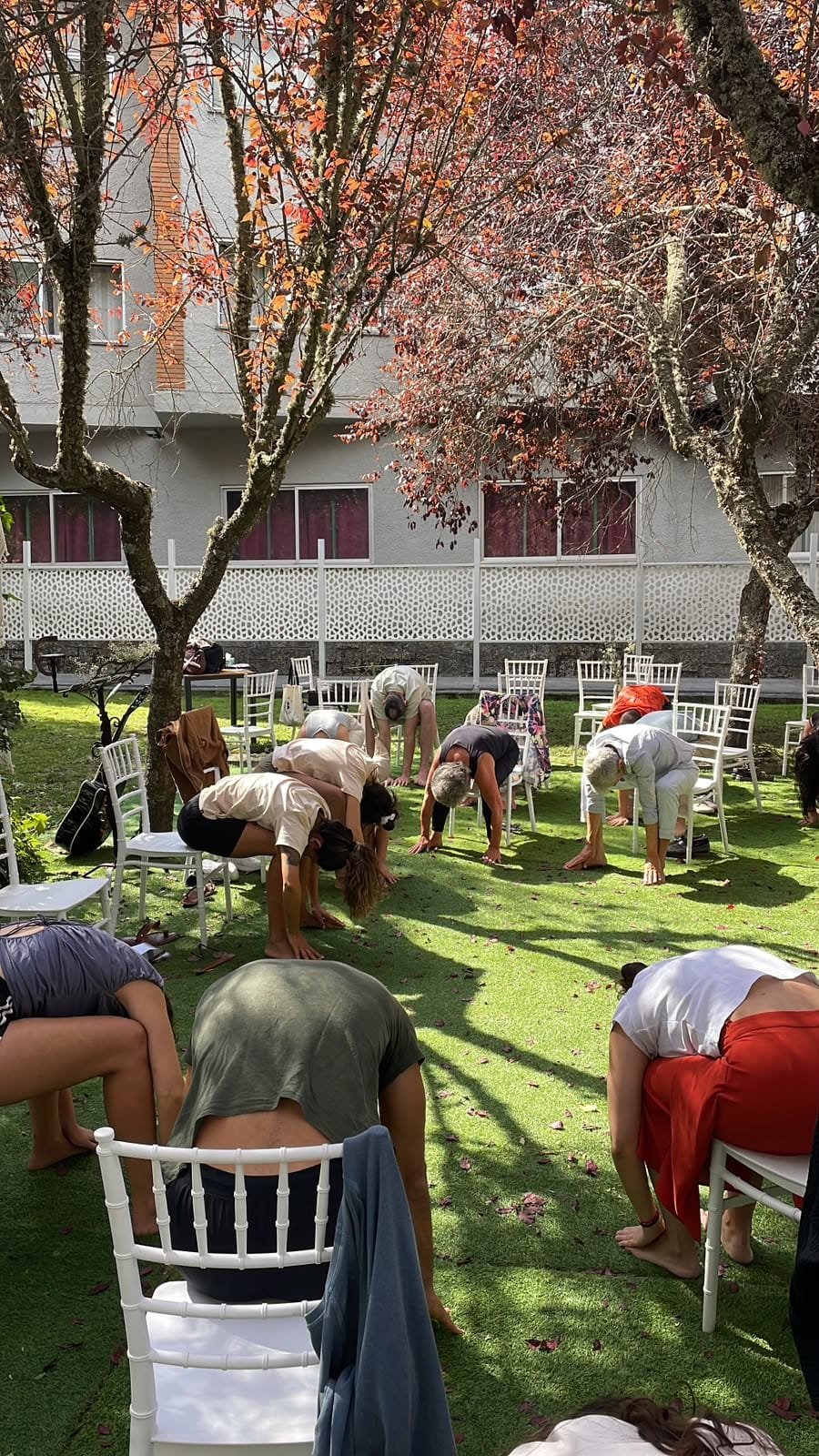 Ioga en cadira a la boda de la Patri i el Pablo